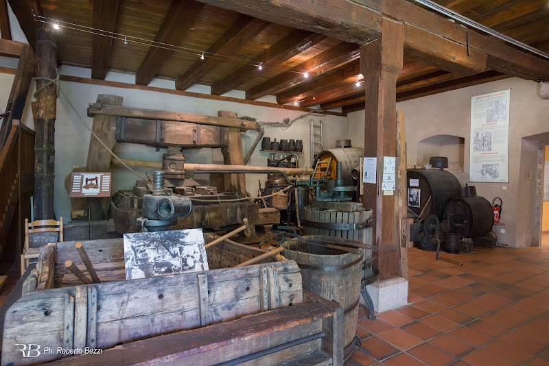Museo del Viñedo y del Vino de Alsacia