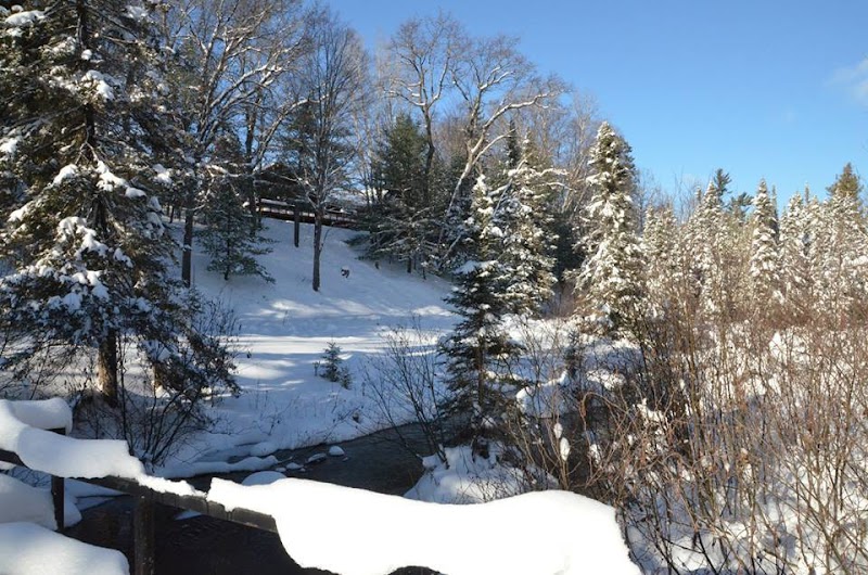 Cedar Hollow Lodge - Photo 4