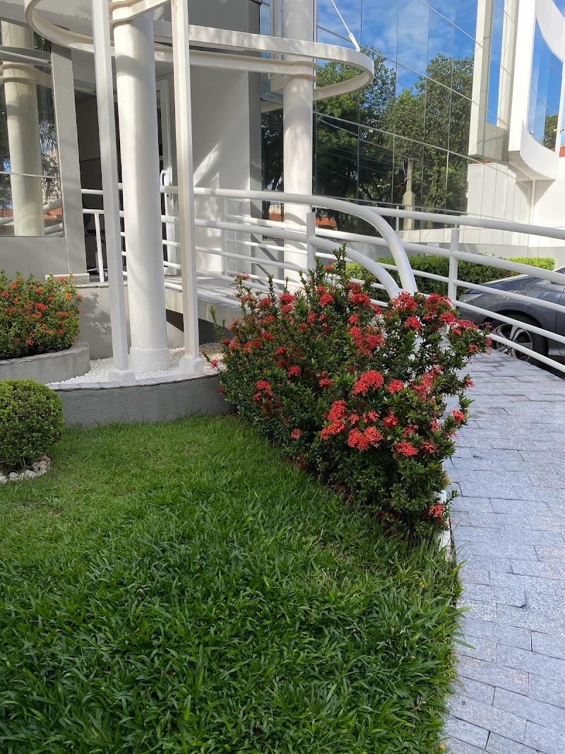 Dr. Felipe Davini Endodontia e Microscopia Operatória - foto 2