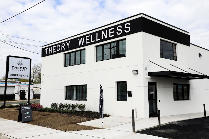 Video tour of Theory Wellness: Trenton Dispensary retail environment
