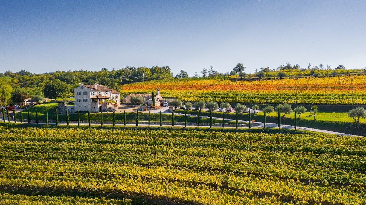 KABOLA WINERY