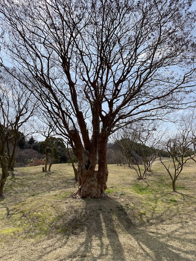 Okudogo Golf Club - Photo 10