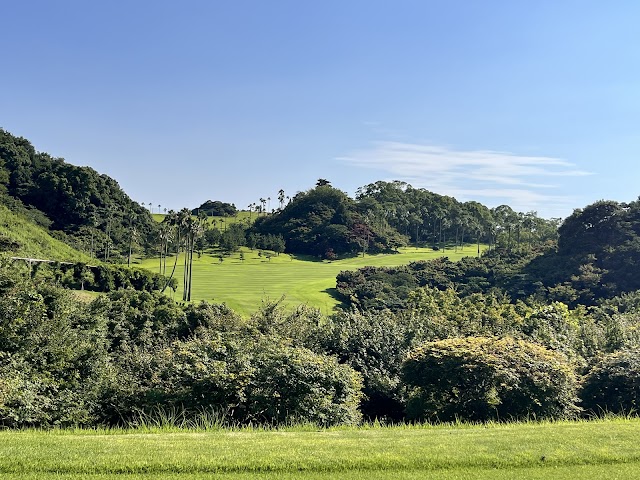 Okudogo Golf Club - Photo 4