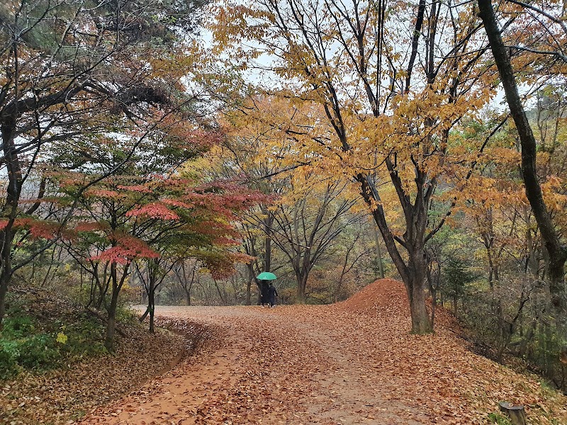 계족산 사진 4