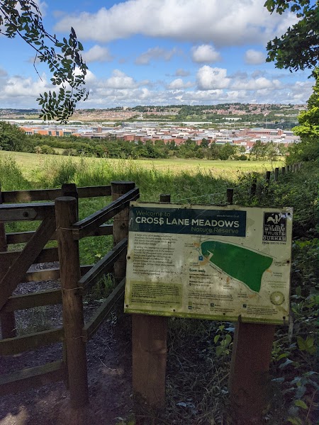 Cross Lane Meadows nature reserve