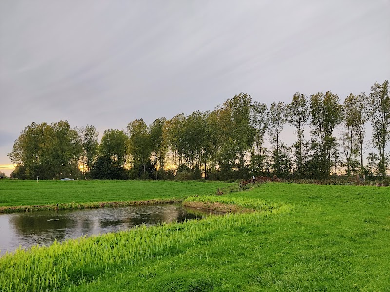 Weipoortse Vliet