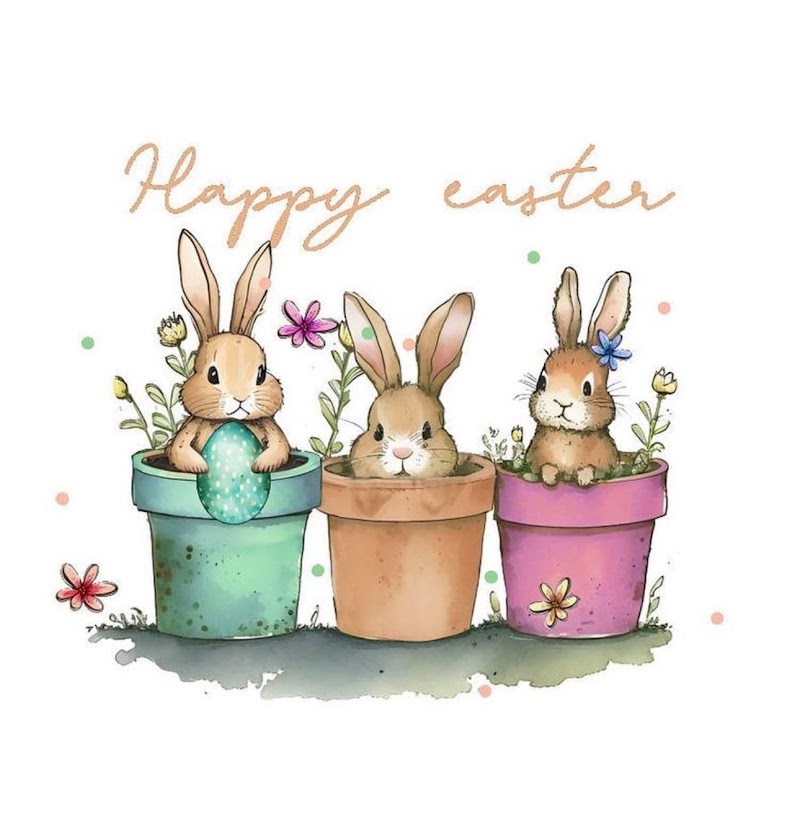 Palo Santo Café photo 2