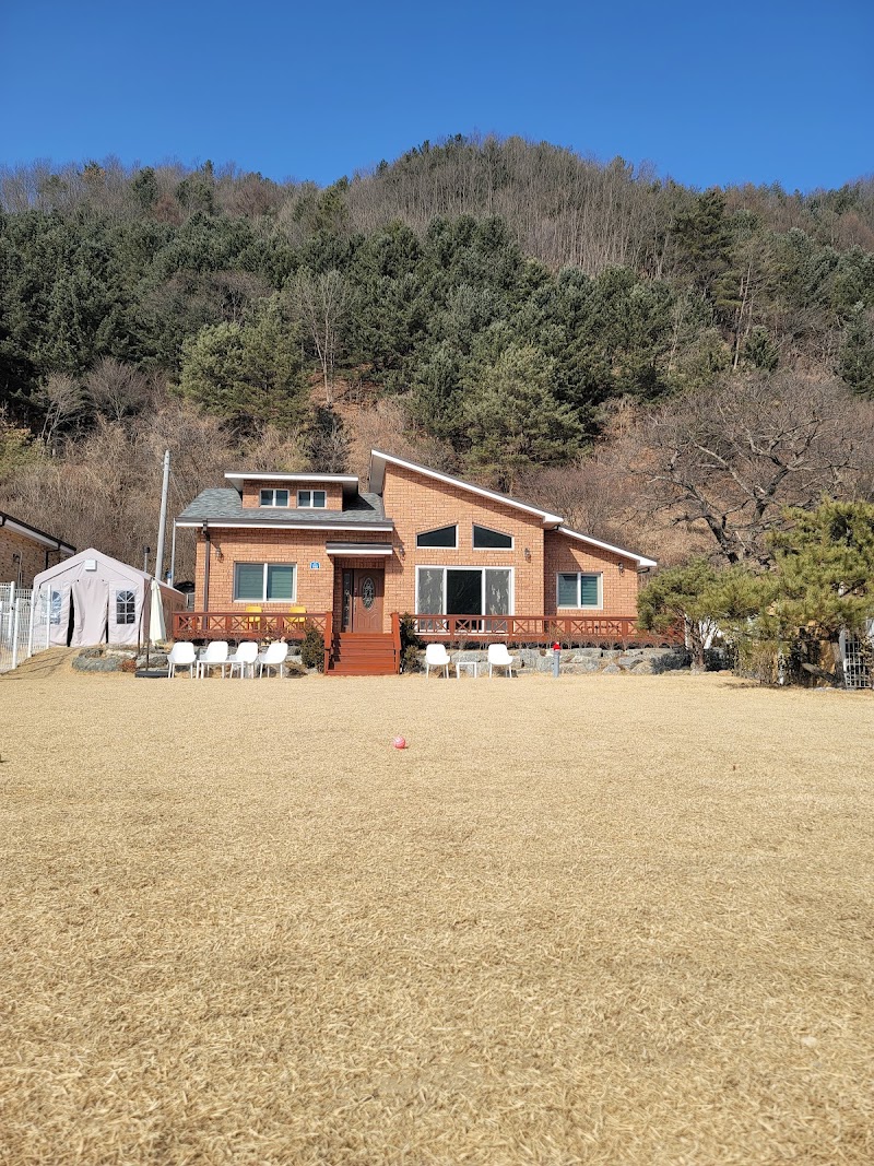 헬로우댕댕 횡성군 애견숙소