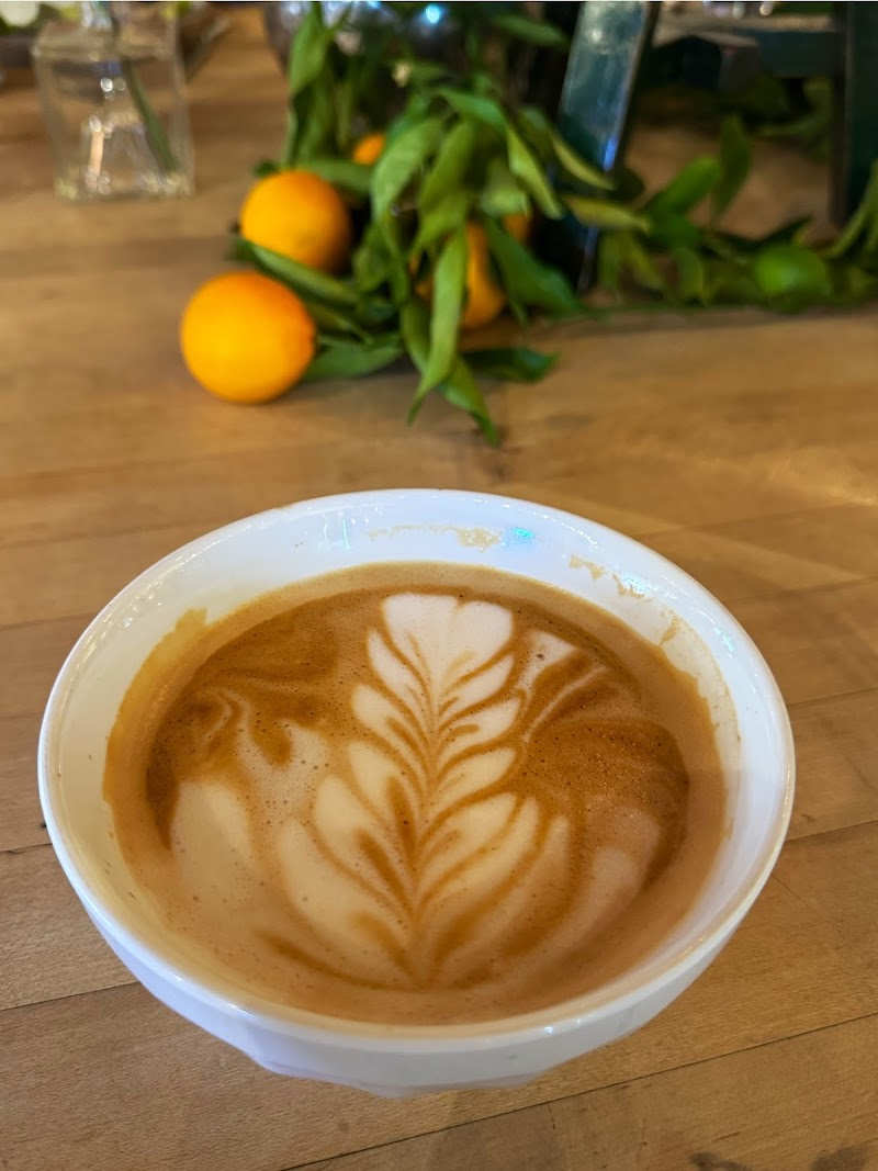 Della Fattoria Downtown Café photo 3