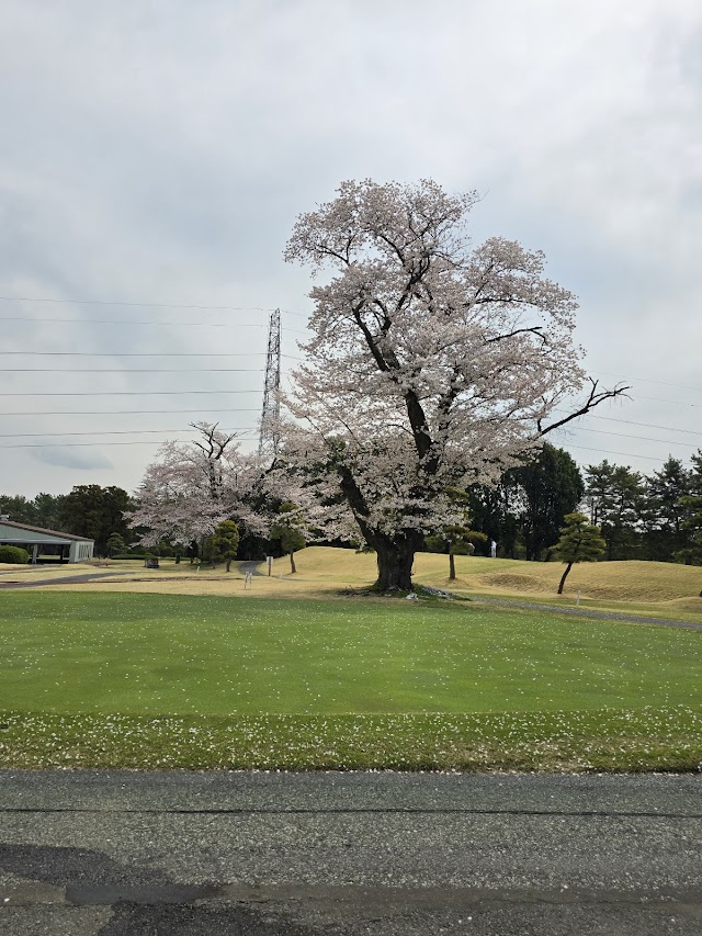 Murasaki Country Club Ayame Course - Photo 8