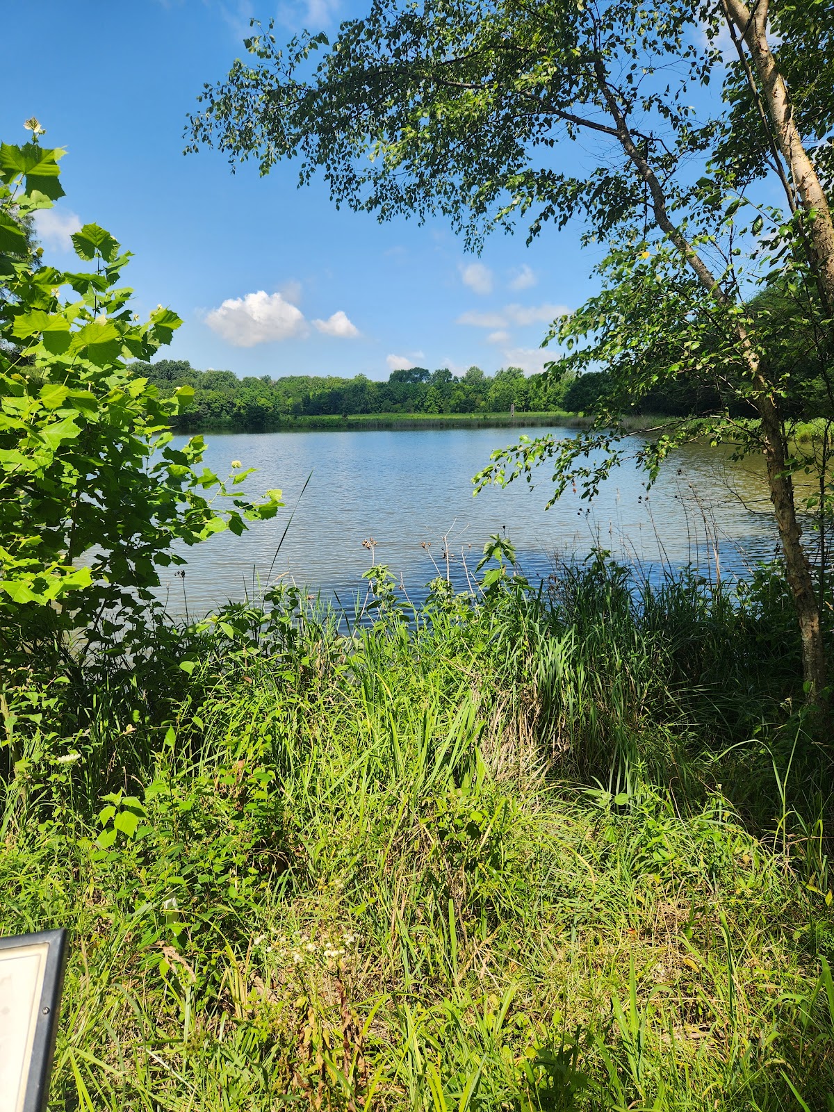 The Watershed Nature Center photo 3