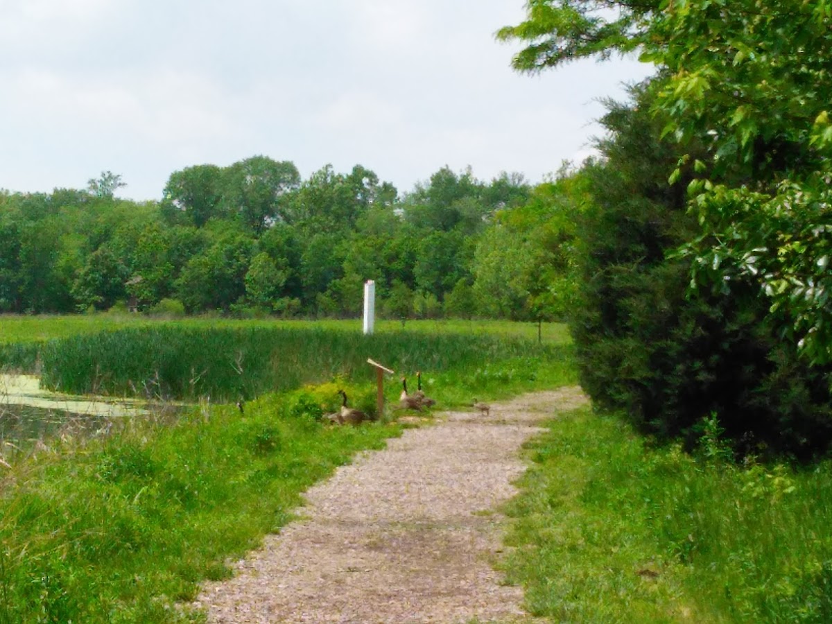 The Watershed Nature Center photo 2