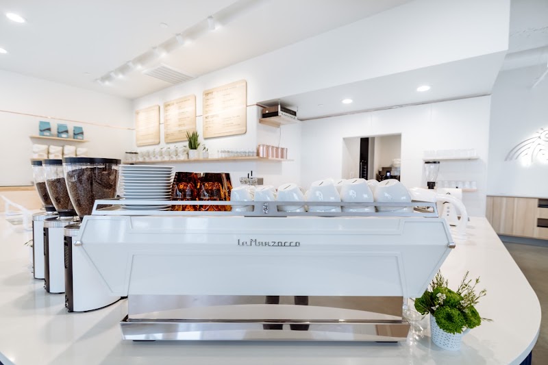 Wonderstate Coffee - Madison Cafe photo 1