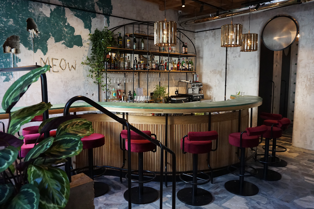 MEOW Bar fotoğraf 1