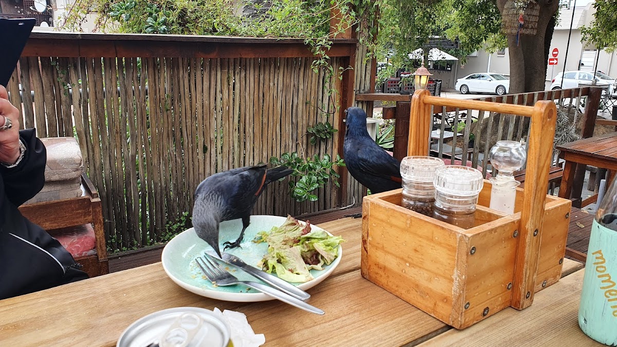The Green Shed Coffee Roastery — photo 3