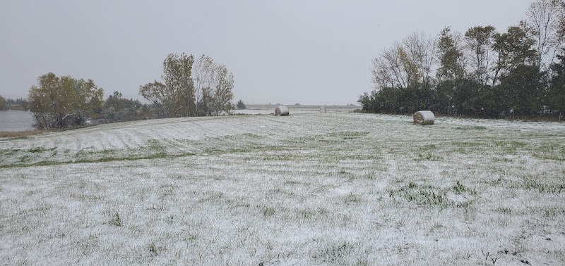Sioux River Wildlife - Photo 2