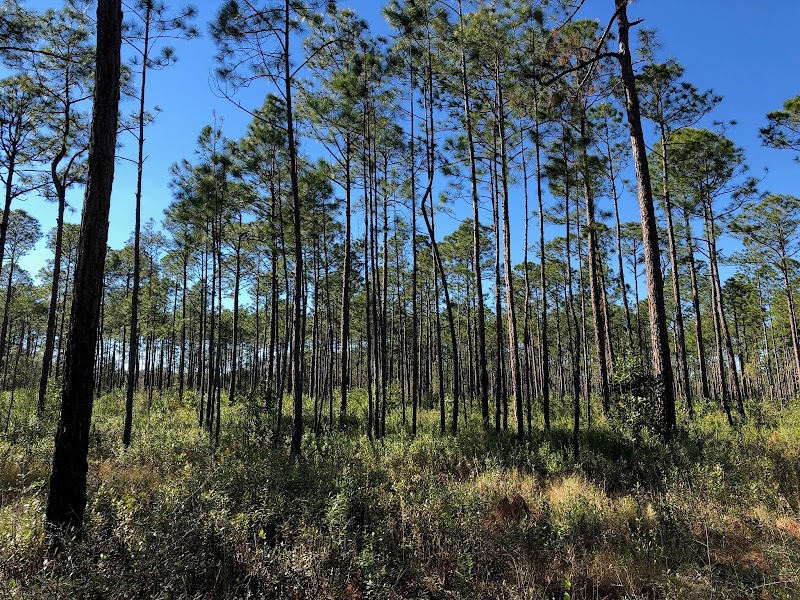 Graham Creek Nature Preserve photo 3