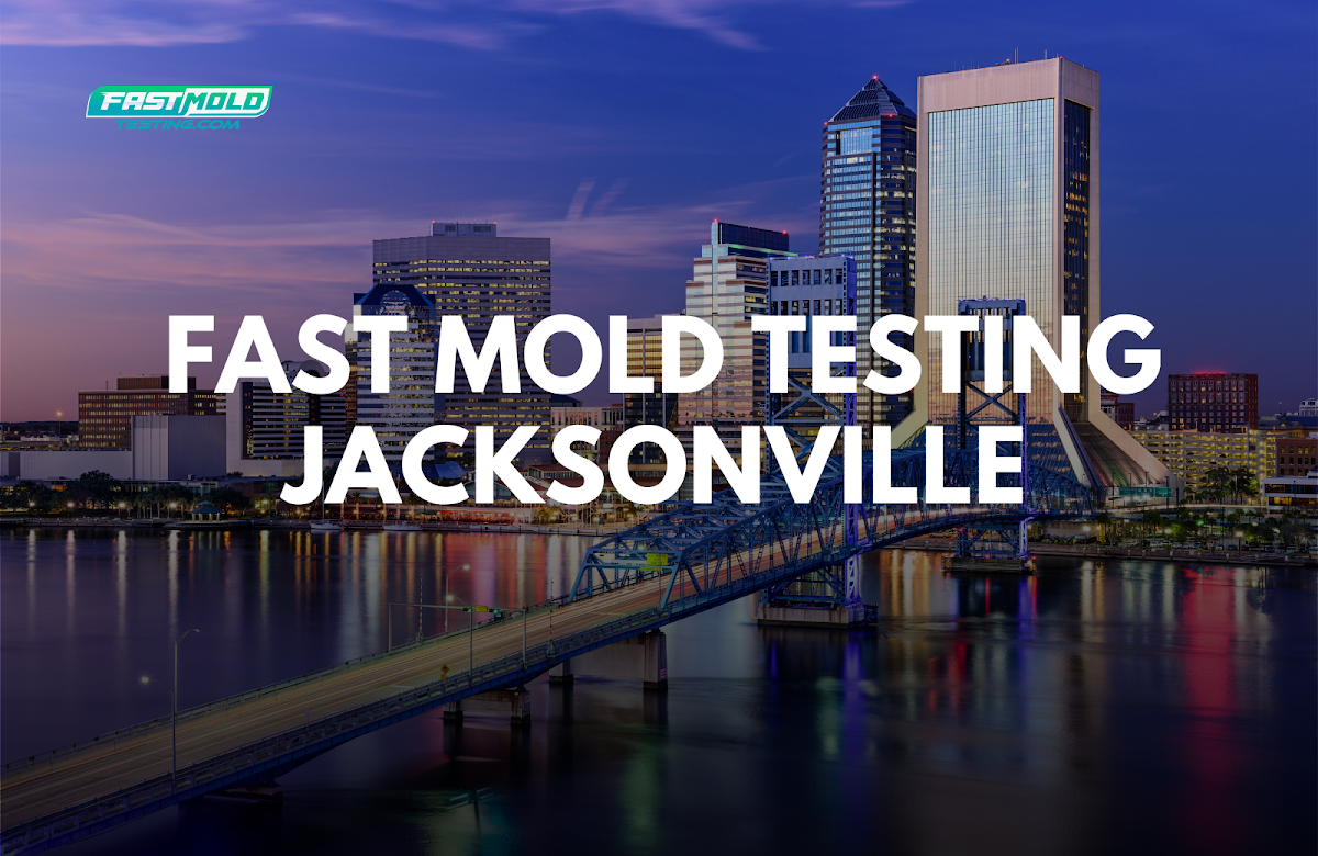 Fast Mold Testing - Jacksonville — photo