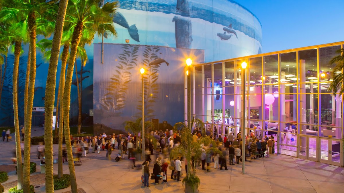 Long Beach Symphony: Google Places image 5