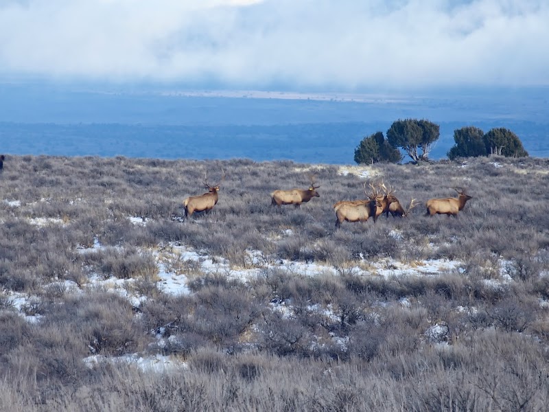 Juniper Mountain Ranch - Photo 1