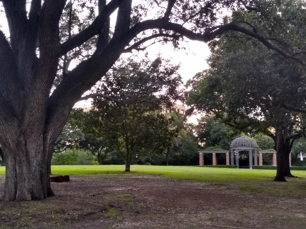 Arlington Hall at Turtle Creek Park: Google Places image 5