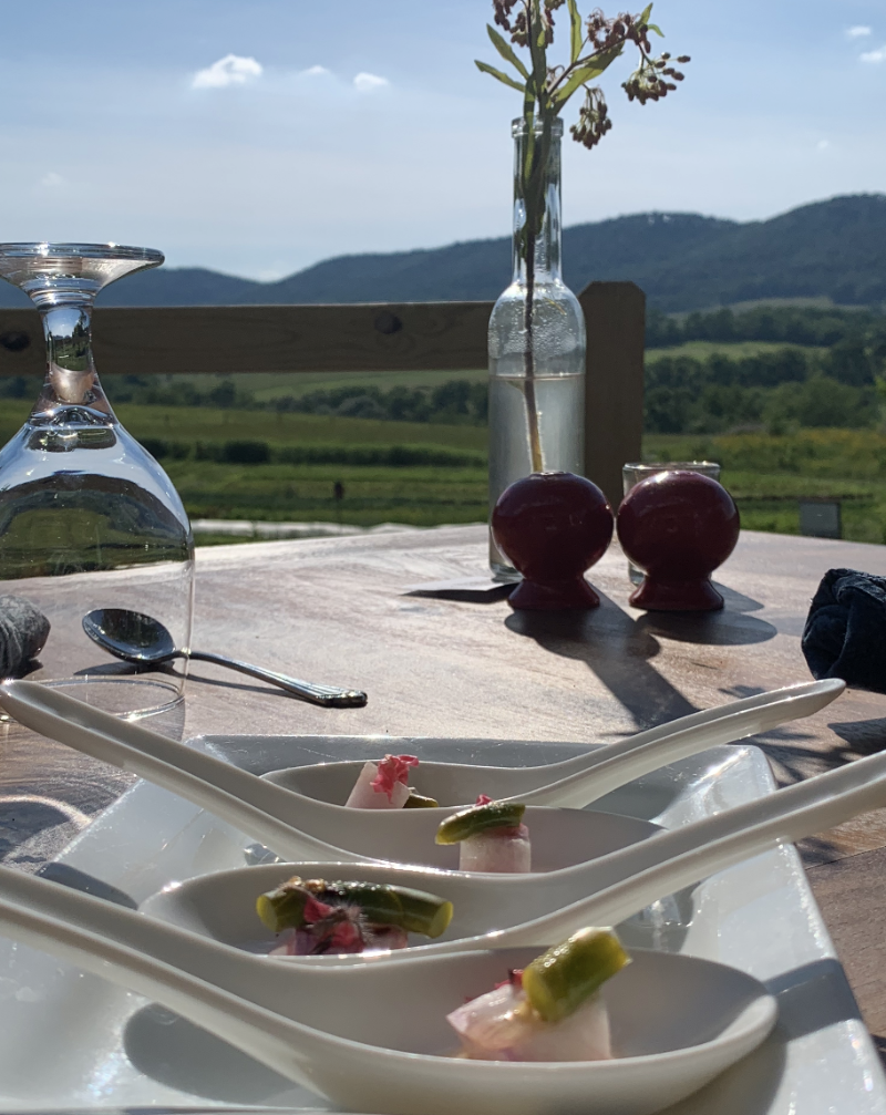 RE Farm Cafe at Windswept Farm photo 2