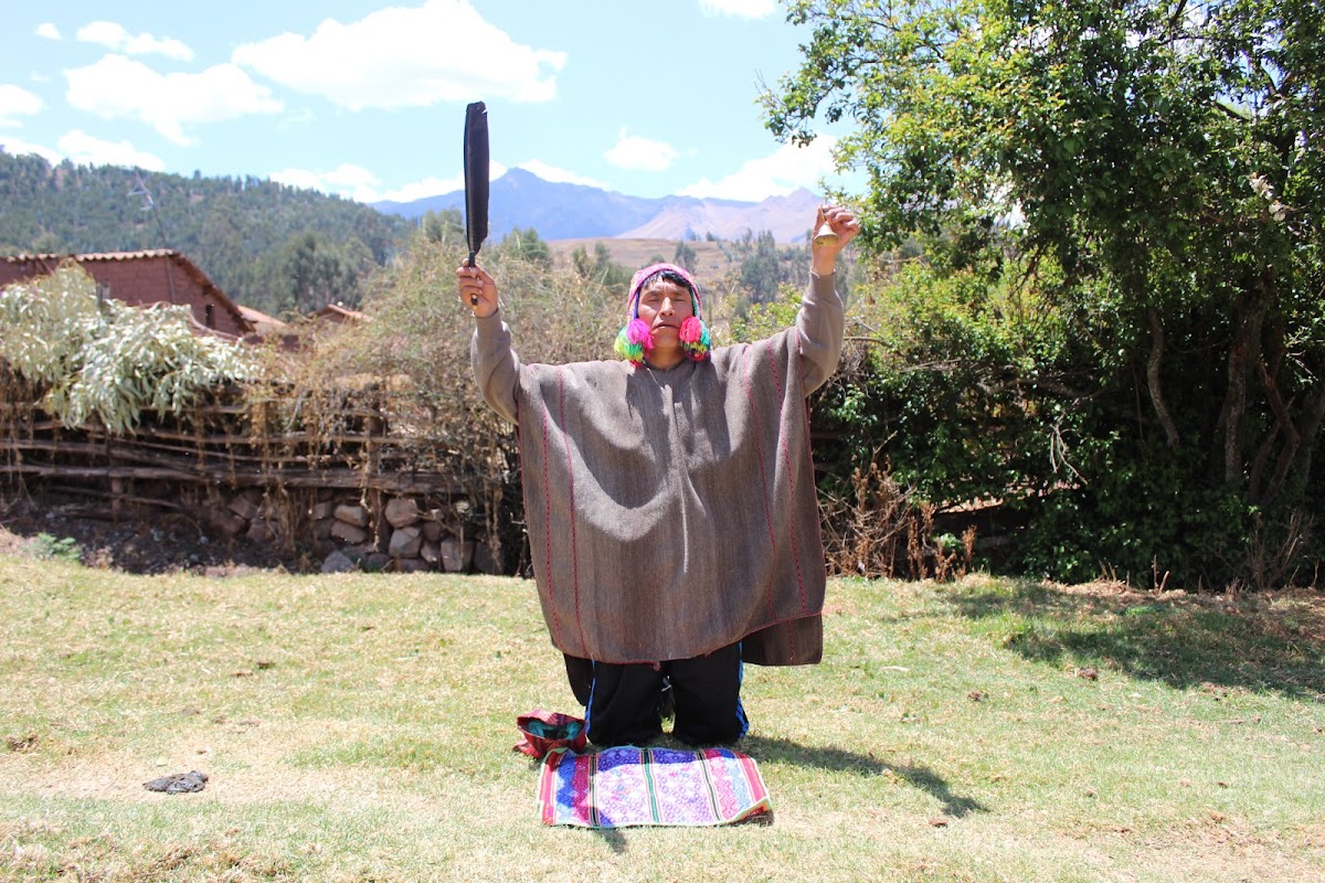Thani Ayahuasca Retreat — 4