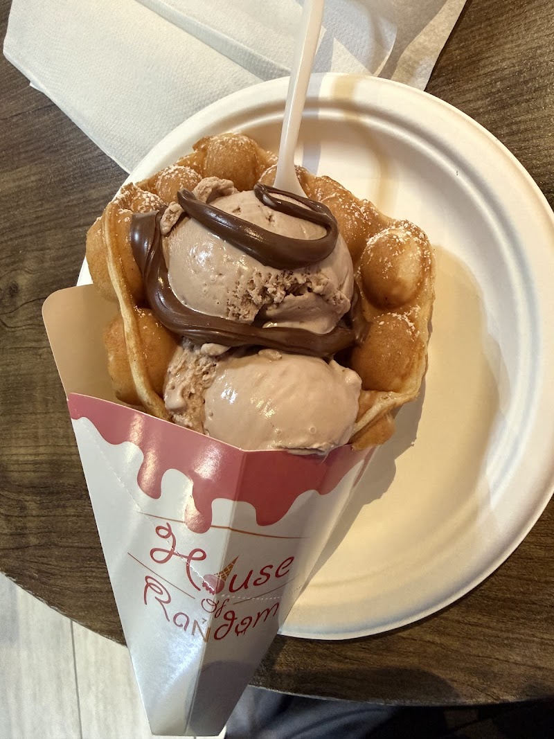 House of Random photo 4