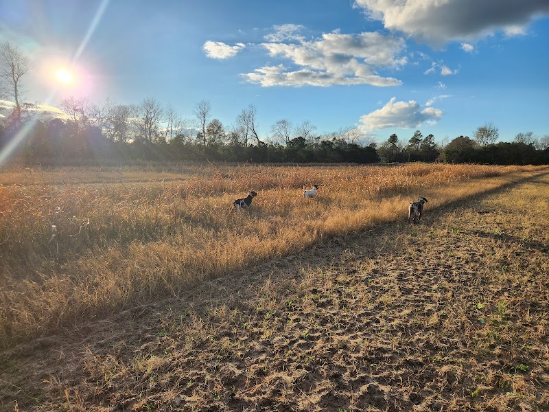 Black River Hunting Preserve LLC - Photo 1