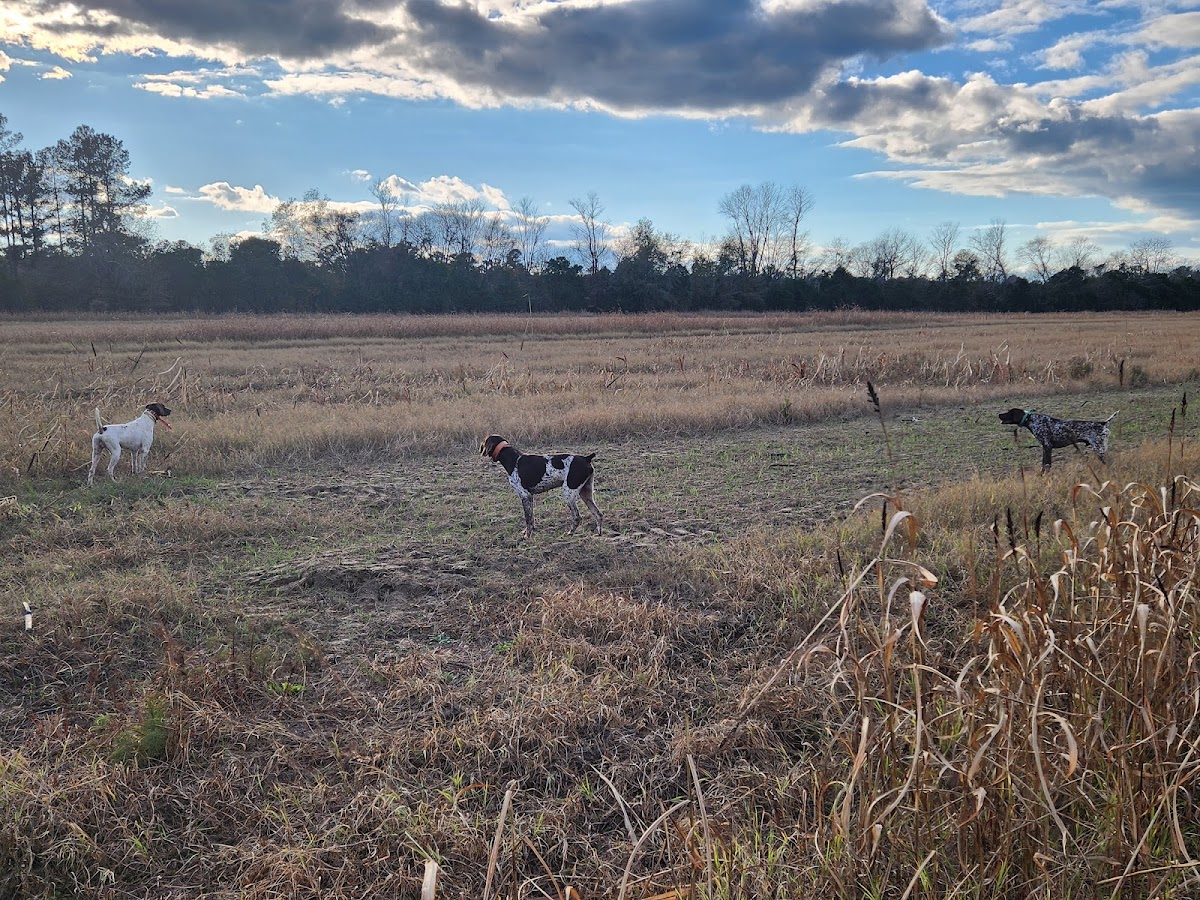 Black River Hunting Preserve LLC