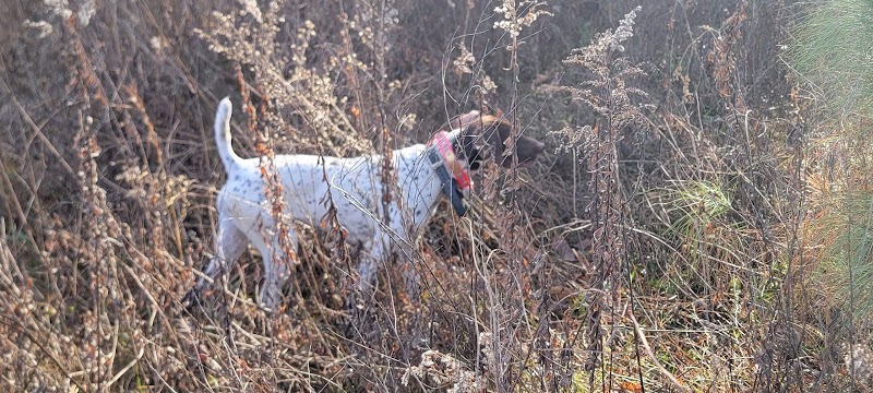 Black River Hunting Preserve LLC - Photo 2