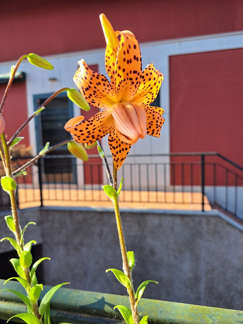 Electricidad Germán Varela photo 1