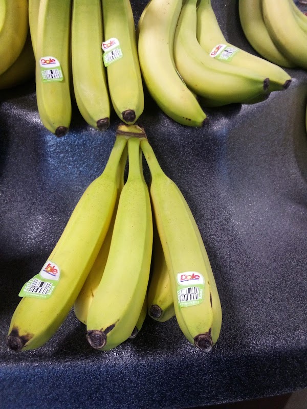 Photo by Brandon Summitt