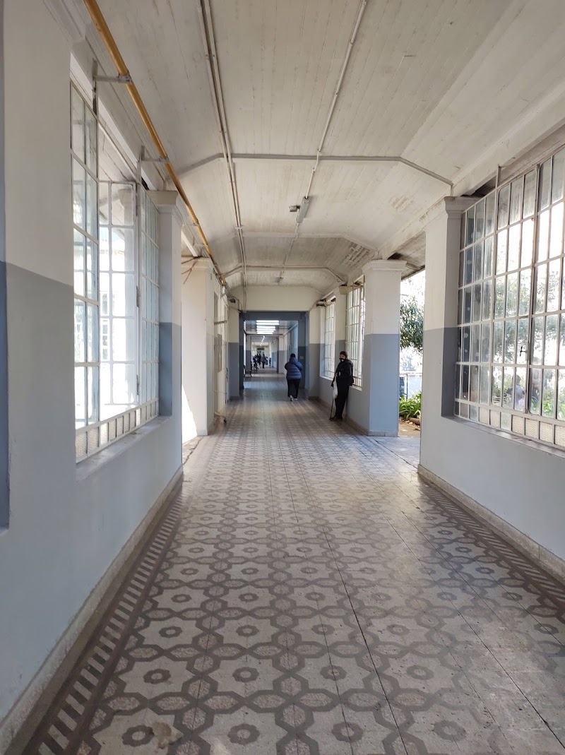 Gallery 5