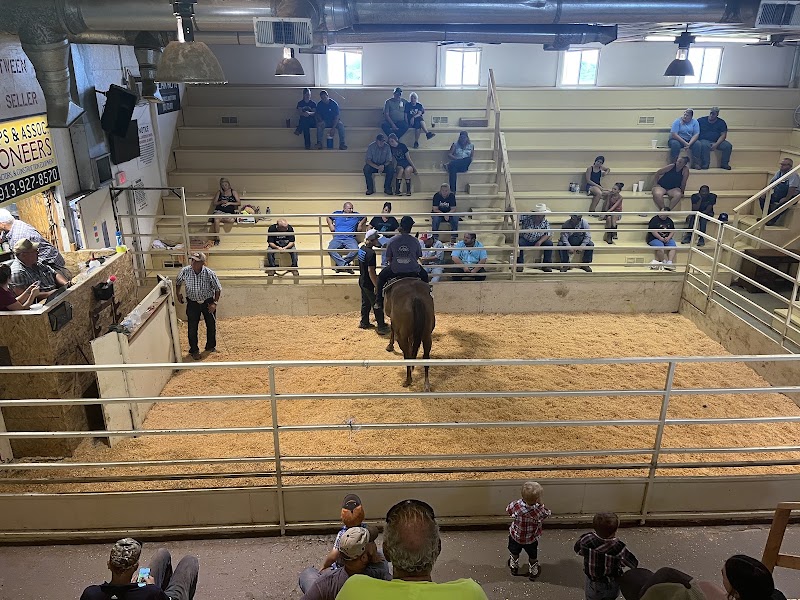 Ben Phillips & Asso Auctioneers photo