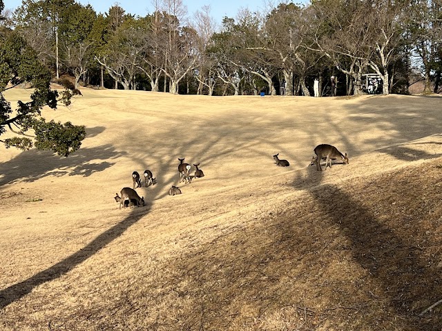 PGM Ikeda Country Club - Photo 8