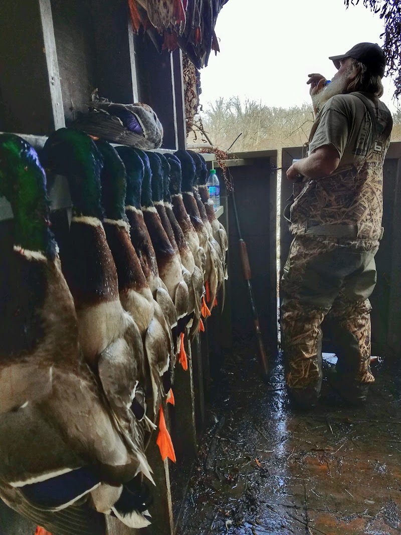 Ole South Outfitters - Photo 3