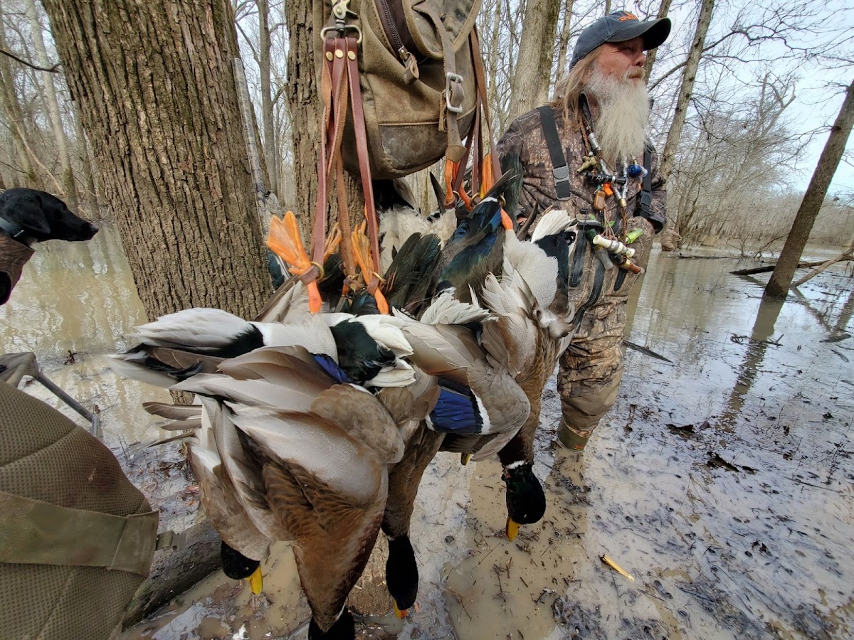 Ole South Outfitters