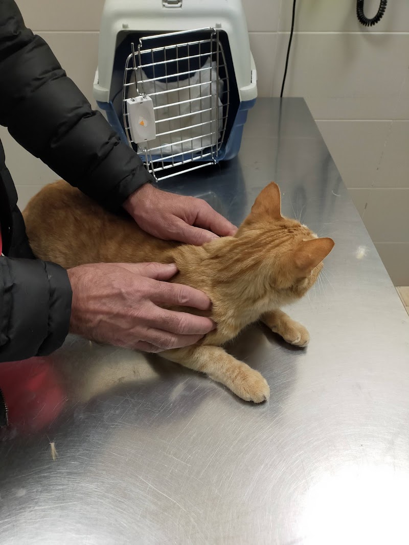 Clínica Veterinaria en Toledo TUCAN