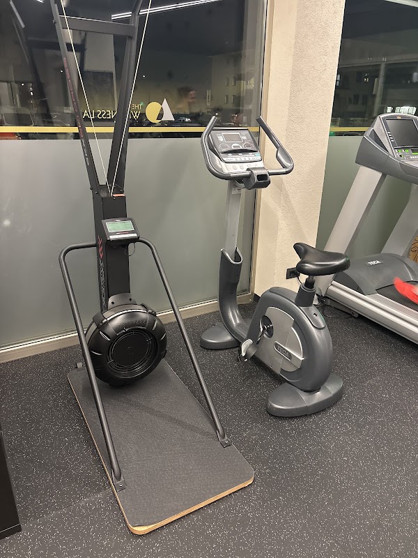 The Wellness Lab