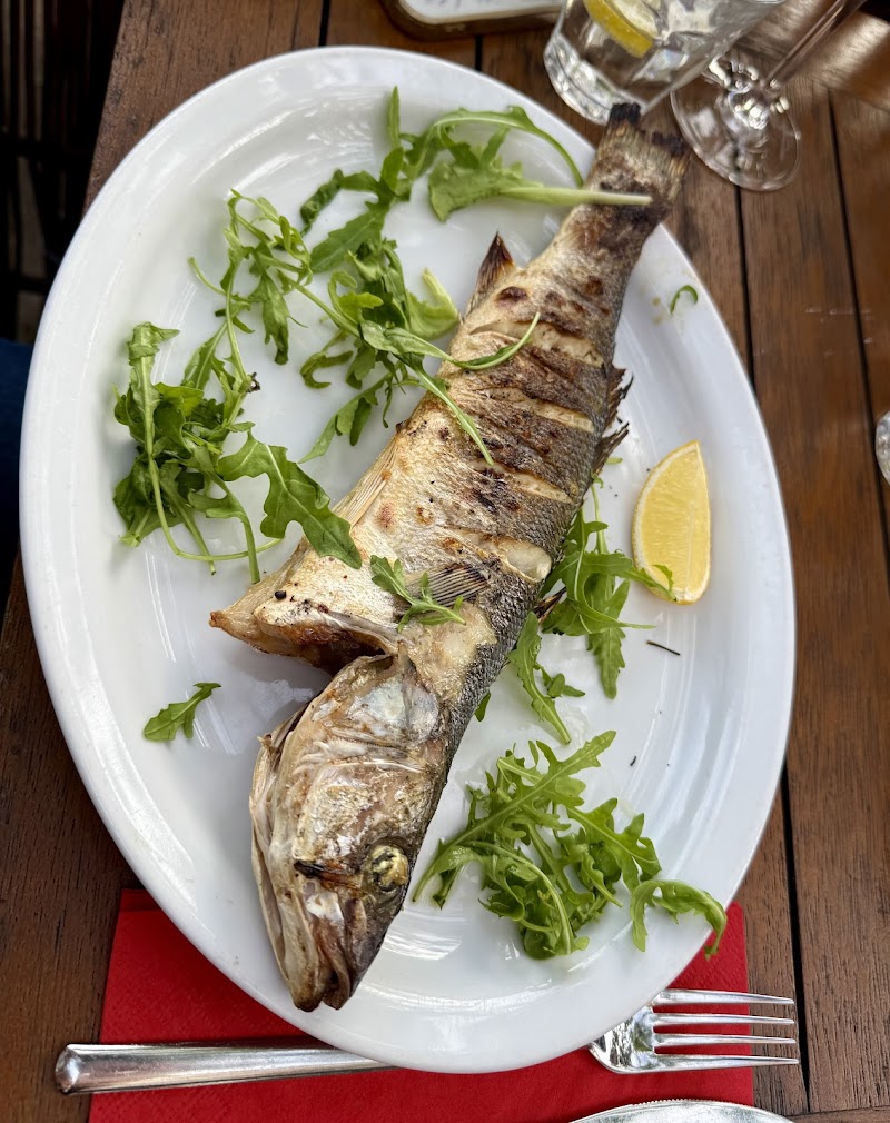 Orontes West - Turks Restaurant Amsterdam - Mediterraans Restaurant Amsterdam photo 6