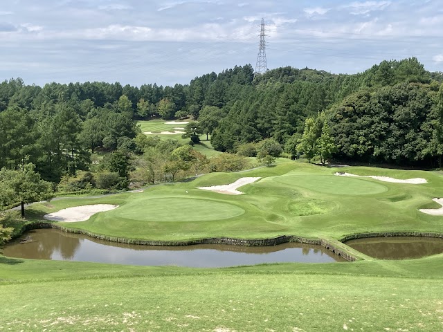 Old Lake Golf Club - Photo 2