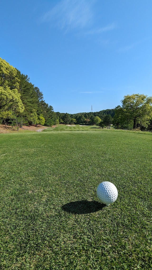 Old Lake Golf Club - Photo 4