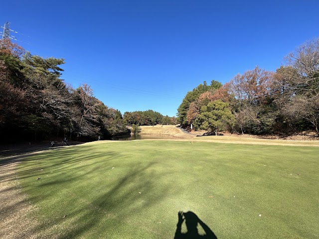 Old Lake Golf Club - Photo 3