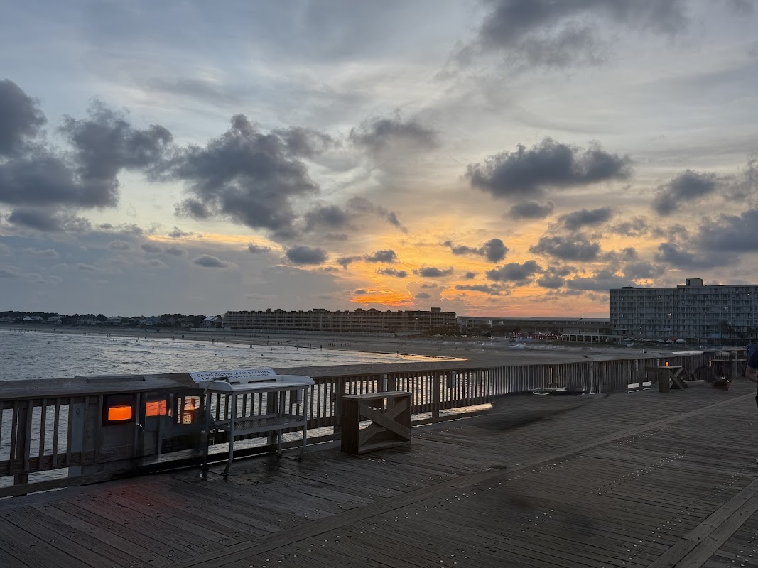 Coconut Glen’s Folly Beach photo 4