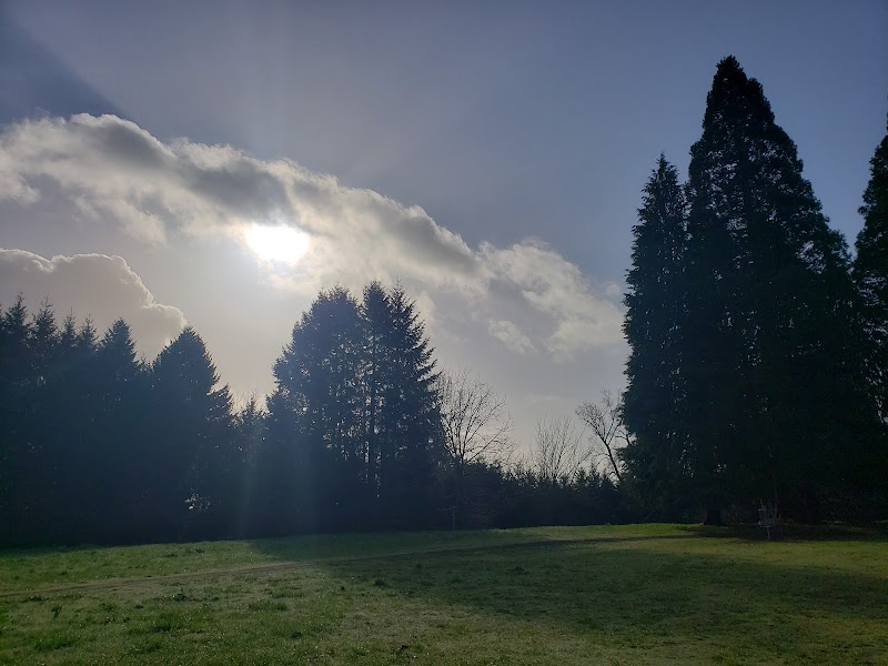 Memorial Park Disc Golf Course photo 3