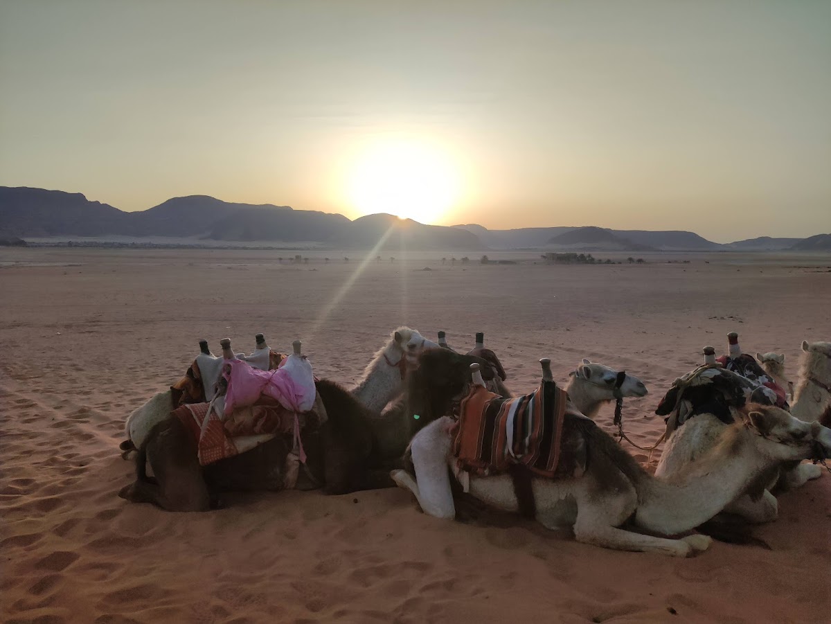 Wadi Rum Desert Camp — 4
