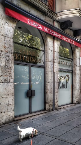 CLÍNICA VETERINARIA RECOLETOS
