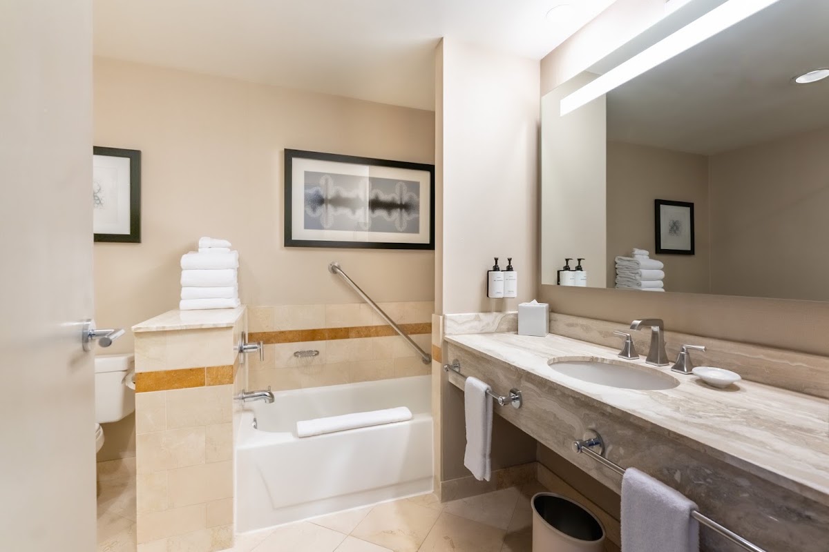 InterContinental Chicago Magnificent Mile, dog-friendly hotel, photo 3