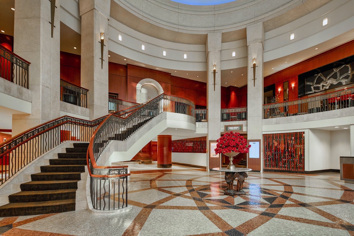 InterContinental Chicago Magnificent Mile, dog-friendly hotel, photo 5